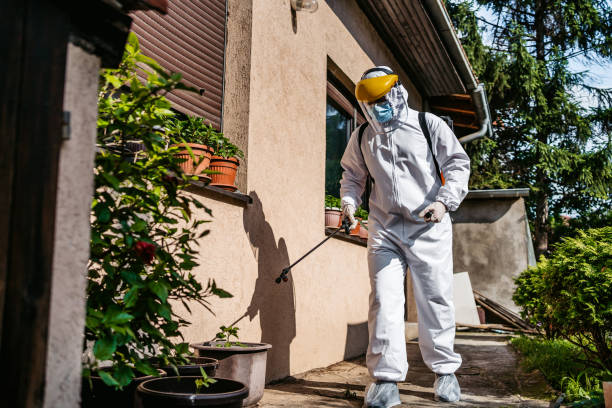 Pest Prevention Services in Port Angeles, WA