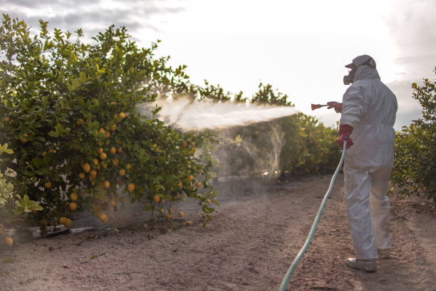 Best Emergency Pest Control  in Port Angeles, WA