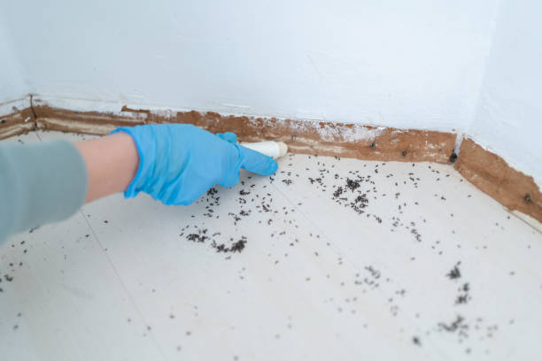 Best Commercial Pest Control Services  in Port Angeles, WA